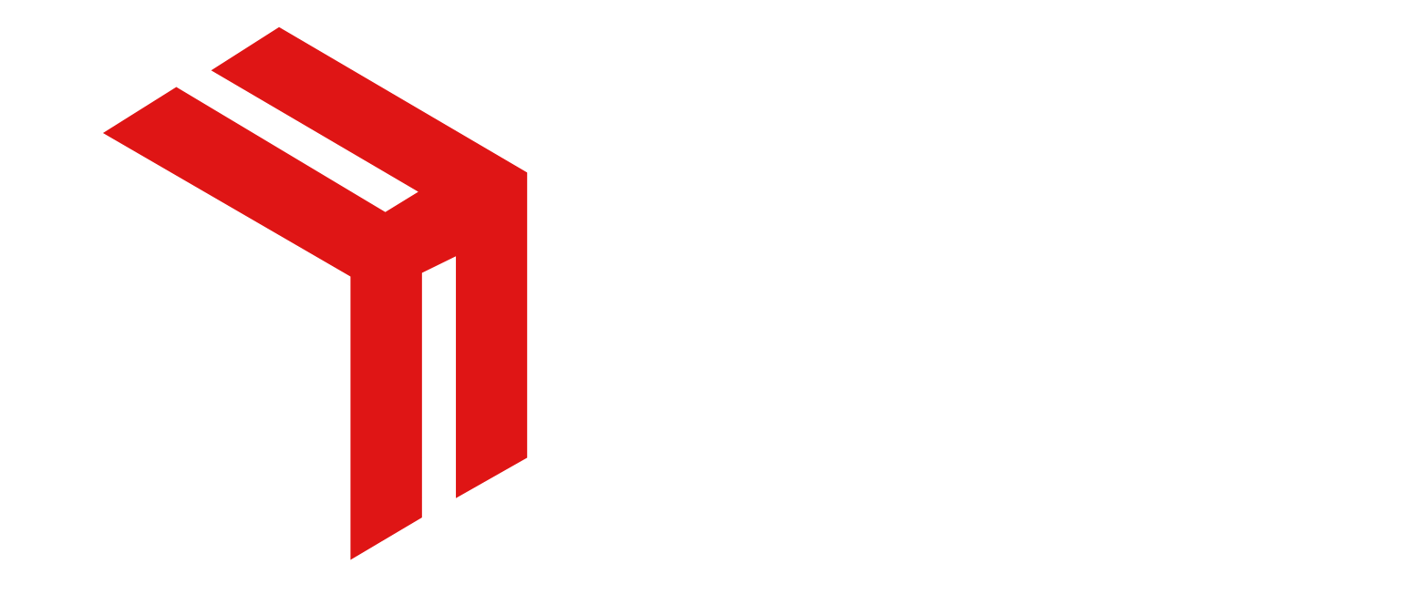 Solution (1)